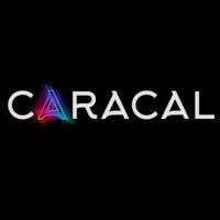 Caracal